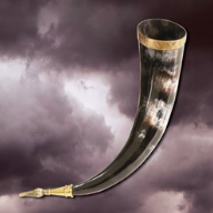 Drinking Horn of Jarl